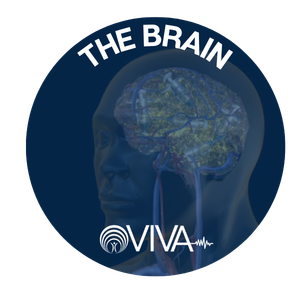 VIVA The Brain badge