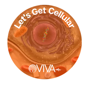 VIVA Cellular badge