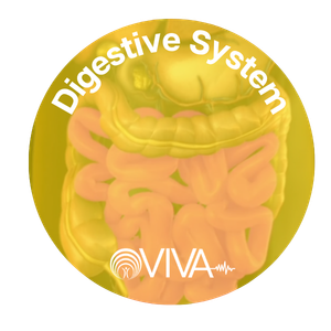 VIVA Digestive badge
