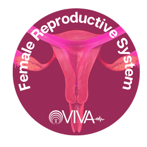 VIVA Female Reproductive badge