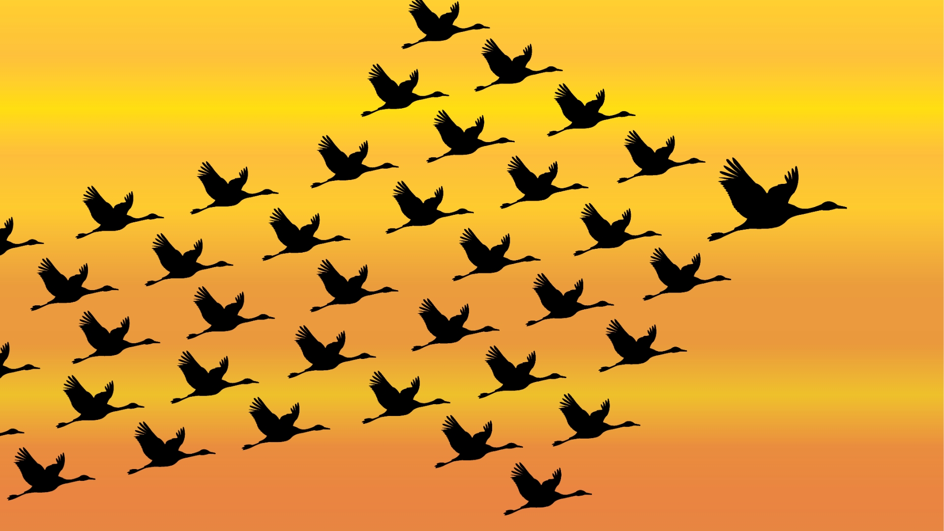 WingTappers
